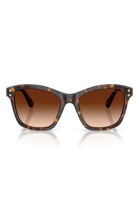Swarovski 54mm Gradient Square Sunglasses in Havana /Gradient Brown at Nordstrom