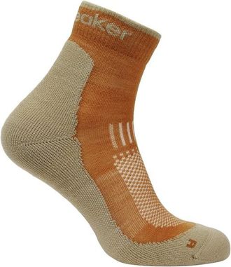 Icebreaker Merino Hike+ Light Mini Wandersocken f&uuml;r Herren | beige/braun