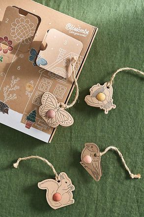 Terrain Seed Bomb Advent Calendar