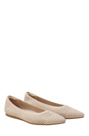 Vivaia Pointed-Toe Ballet Flats in Almond Mesh at Nordstrom, Size 8.5