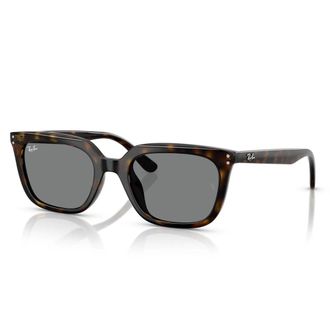 Ray-Ban unisex, Accessoires, Bruin, Maat: 54 MM