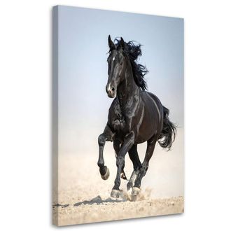 Feeby Cuadro Sobre Lienzo, Caballo Negro Corriendo Animales, 70x100