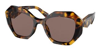 Prada PR 16WS Asian Fit Polarized VAU05C Womens Sunglasses Tortoiseshell Size 53