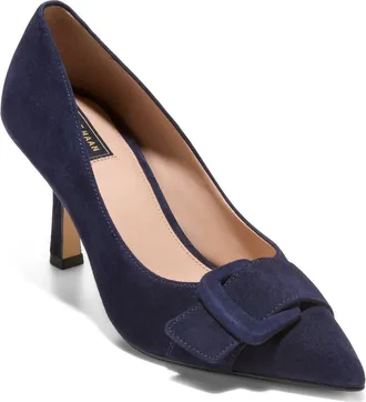 Cole Haan Fidela Pointed Toe Pump in Midnight Moon Suede at Nordstrom, Size 7.5