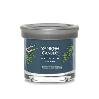Yankee Candle Company Candela Bayside Cedar in barattolo medio Yankee Candle