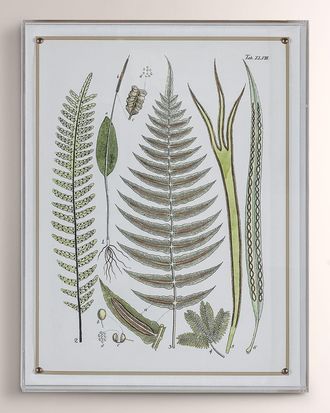 Port 68 Ferns V Giclee