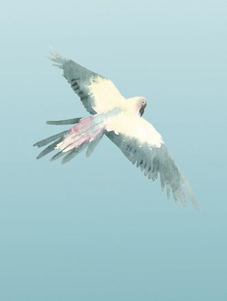 Komar Bild »Ciel« Natur 1 Stk. tlg. Wandbild zur Dekoration - ohne Rahmen