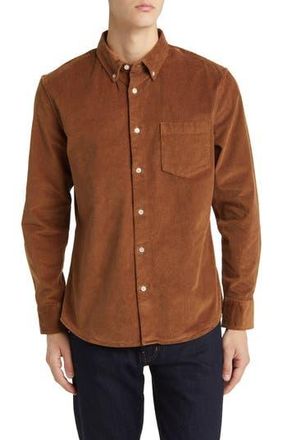 Nordstrom Tech-Smart Trim Fit Stretch Cotton Button-Down Shirt in Brown Partridge at Nordstrom Rack, Size Large