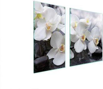 OEM Placa Protectora De Vidrio Para Estufa 90x52 Orqu&iacute;dea