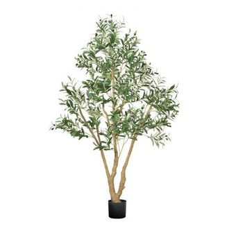 OEM &Aacute;rbol Artificial De Olivo Alto De 1829 Mm Planta Artificial De Pe Para Decoraci&oacute;n &Aacute;rbol Verde Planta Falsa Para Hogar, Oficina, Hotel, Centro Comercia