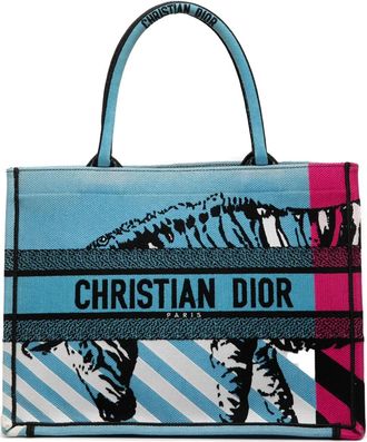 Dior 2022 Medium Embroidered Canvas Zebra D Jungle Pop Book tote bag - women - Canvas - One Size - Blue