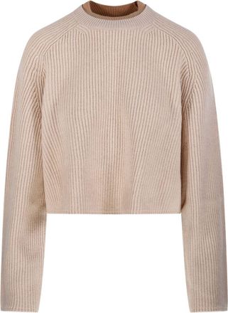 Max Mara Crew Neck Sweater In Cashmere Wool