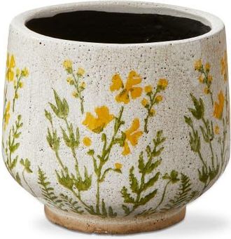 Tag Wild Flower Footed Planter Large Multi Terracotta Spring in Beige at Nordstrom
