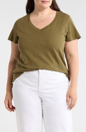 Sanctuary V-Neck T-Shirt in Burnt Olive Green at Nordstrom, Size 1X