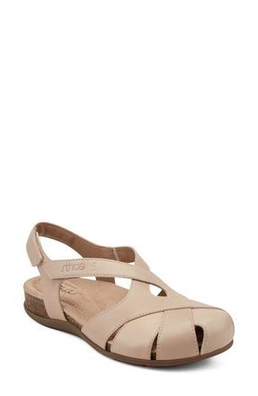 Earth Brentia Sandal in Medium Natural at Nordstrom, Size 9.5