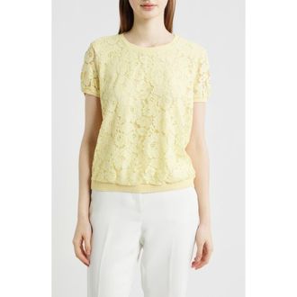Tahari by ASL Lace Front Sweater in Buttercup at Nordstrom, Size X-Large