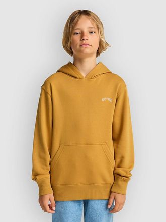 Billabong Arch Kids Hoodie bruin