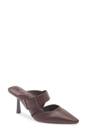 DKNY Nardin Pointed Toe Pump in Sangria at Nordstrom Rack, Size 7.5