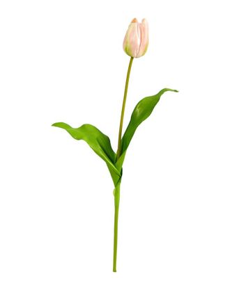 Nearly Natural Set Of 12 23In Dutch Tulip Artificial Flower