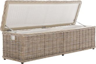 Safavieh Caius Trunk