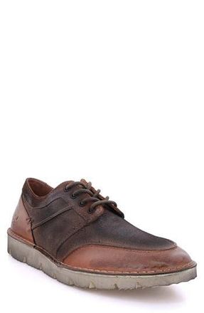 Roan Fenton Sneaker in Pecan at Nordstrom Rack, Size 10