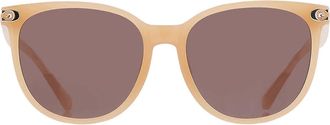 Coach Brown Cat Eye Ladies Sunglasses HC8414BD 585473 57