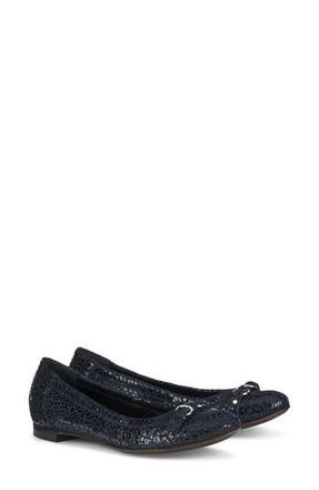 AGL Monika Leopard Print Flat in Leo Print Navy at Nordstrom Rack, Size 10.5Us / 40.5Eu