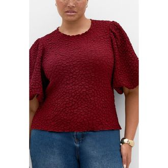 City Chic Chrissie Texture Puff Sleeve Top in Shiraz at Nordstrom, Size Xxs