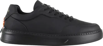 Barracuda Phoenix Nr