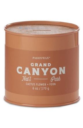 Paddywax Parks 6 oz. Candle in Grand Canyon Taupe at Nordstrom Rack