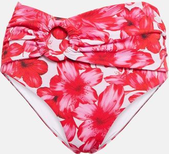 Alexandra Miro Dorit floral bikini bottoms