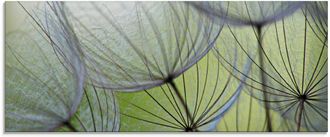 Artland Glasbild »Pusteblumen-Samen II« 1 Stk. tlg. in verschiedenen Grössen