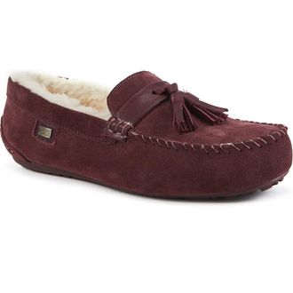 Australia Luxe Hamilton Genuine Shearling Lined Tassel Loafer in Windsor at Nordstrom Rack, Size 10