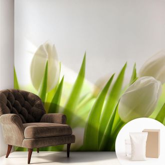 Tulup Carta Da Parati - Mural - Con Sala Da Pranzo - Camera Da Letto - Cameretta - Con Colla Gratuita Tulipani Bianchi 250x250 Cm