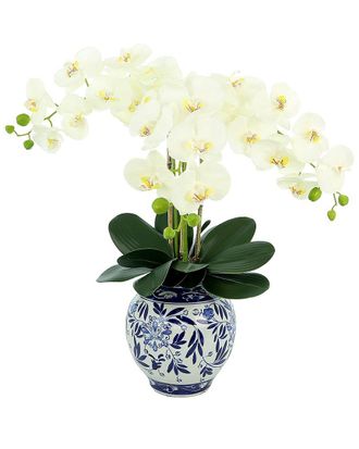 Creative Displays Inc. White Orchid Floral Arrangement