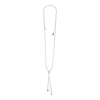 Alexander McQueen Accessoires, Dames, Geel, ONE Size, Wishbone Necklace