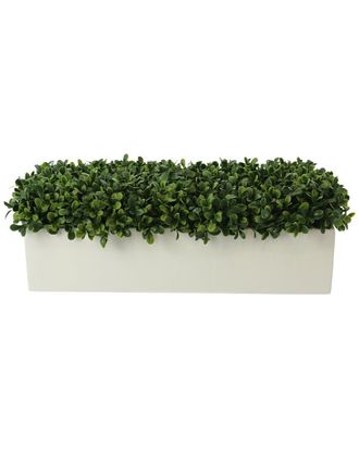 Creative Displays Inc. Boxwood Arrangement