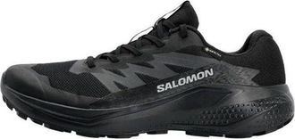 Salomon Alphaglide GTX Black 478021