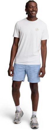 tentree Holmes Short in Lakeside/timber Flash Stripe at Nordstrom, Size Xx-Large