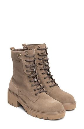 Nero Giardini Block Heel Combat Boot in Taupe at Nordstrom, Size 36