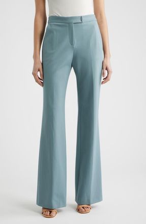 BOSS Talia Flare Pants in Reef at Nordstrom, Size 14