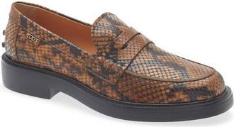 Tod's Python Embossed Penny Loafer in Marrone Chiaro at Nordstrom, Size 40.5