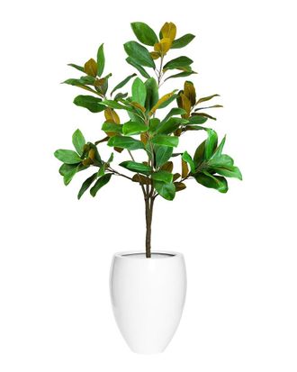 Creative Displays Inc. Uv-Rated 5Ft Magnolia Tree Drop-In With Fiberstone Planter