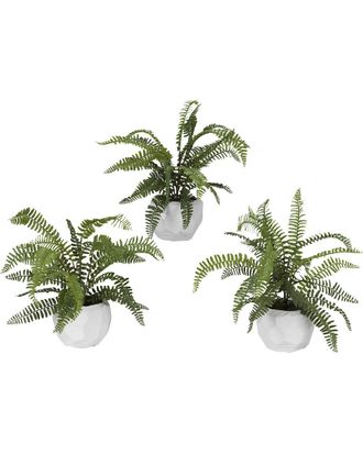 D&W Silks Set Of 3 Boston Fern In Glossy White Ceramic