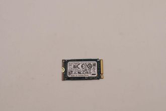OEM Unidad De Estado S&oacute;lido Lenovo M.2 2242 Nvme De 256 Gb, 5ss0v26421