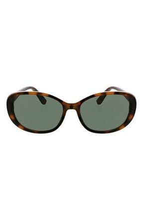 BCBGeneration 90s 38mm Oval Sunglasses in Tortoise at Nordstrom Rack