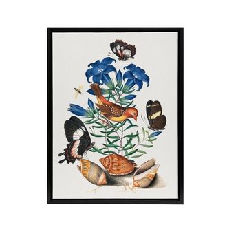 Artery8 Red Avadavat Swallowtail & Shells Bolton Black Framed Canvas Art | Size: W24 x H32