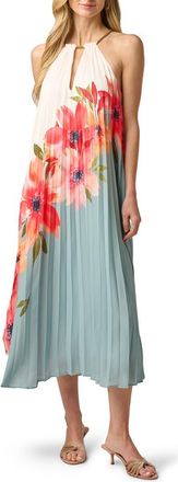 Adrianna Papell Floral Print Sleeveless Chiffon Maxi Dress in Blue Multi at Nordstrom, Size 16