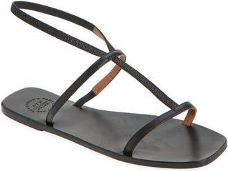 ATP Atelier Delebbio Ankle Strap Sandal in Black at Nordstrom, Size 10Us