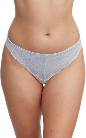 Skarlett Blue Rouse Lace Thong in White/Crystal Blue at Nordstrom Rack, Size X-Small